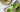 Matcha Mistakes to Avoid: Tips for Beginners