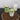 Matcha Dalgona Coffee Recipe