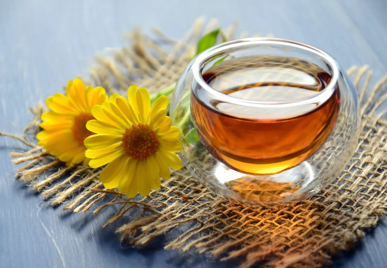 20 Fun Tea Quotes to Brighten Your Brew