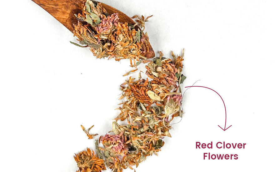 Why Red Clover Tea Deserves a Spot in Your Daily Ritual