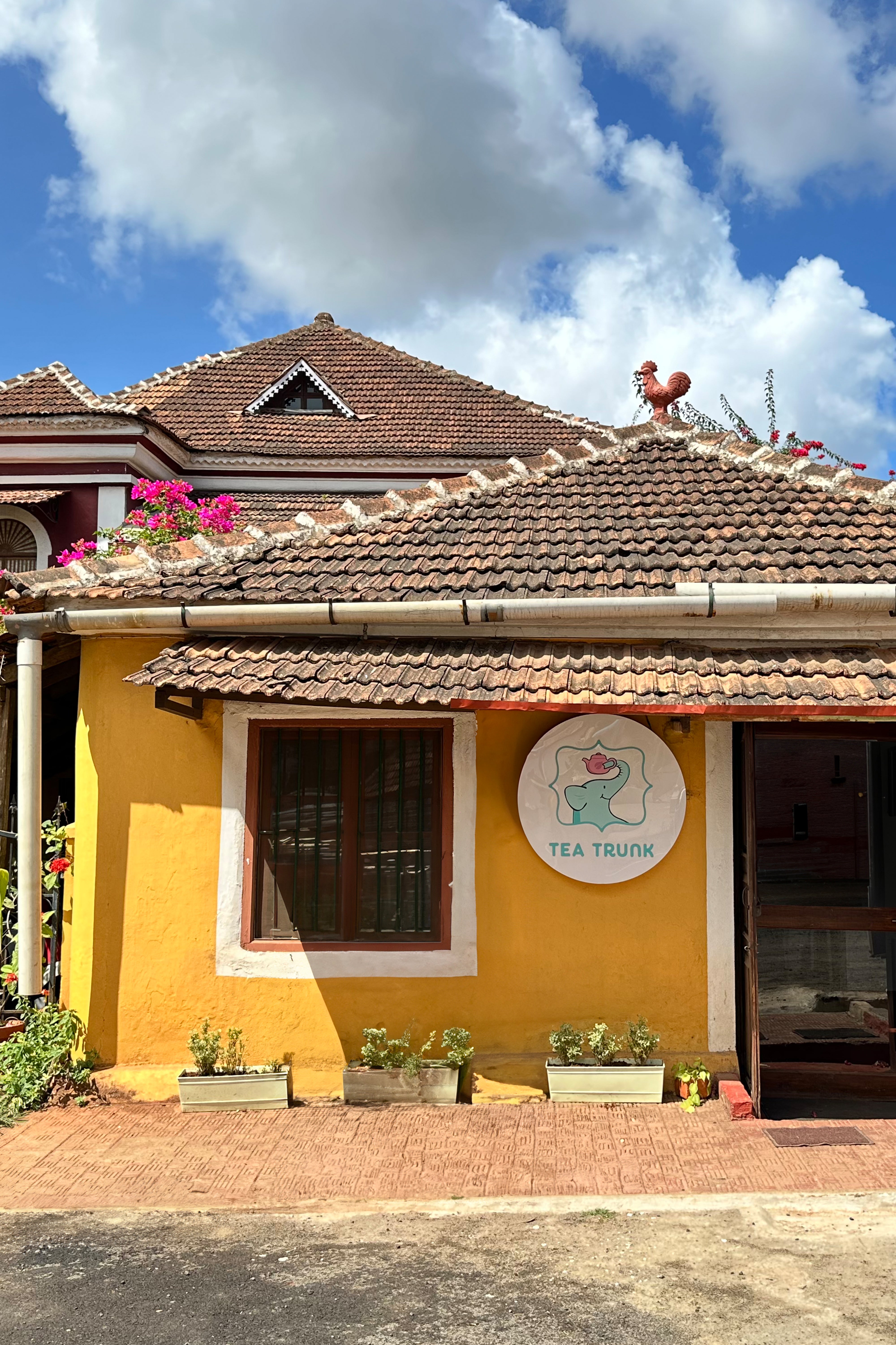 Discover the Charm of Panjim, Goa: Culture, History, and the Hidden Gem of Cafe Tea Trunk