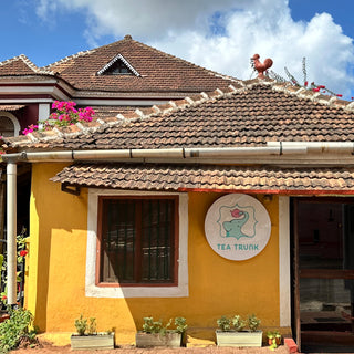 Discover the Charm of Panjim, Goa: Culture, History, and the Hidden Gem of Cafe Tea Trunk