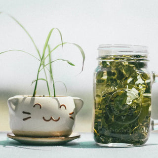 A Spa Day for Your Skin: Green Tea Leaves