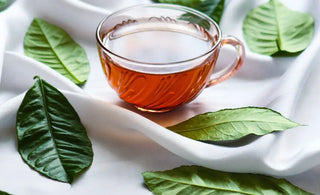 Beyond the Spice Rack: Turmeric Tea’s Versatile Uses and Health Benefits