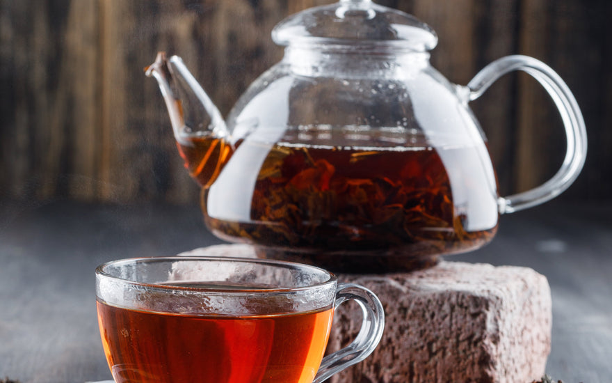 Teas for Beginners: A Guide to Your First Sip of Premium Tea
