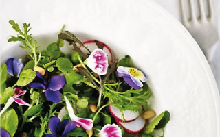 Five Edible Flowers for Healthy Summer Recipes