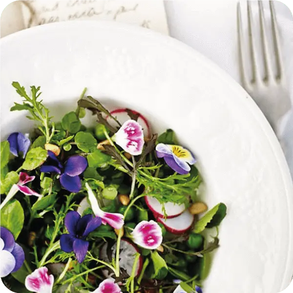 Five Edible Flowers for Healthy Summer Recipes