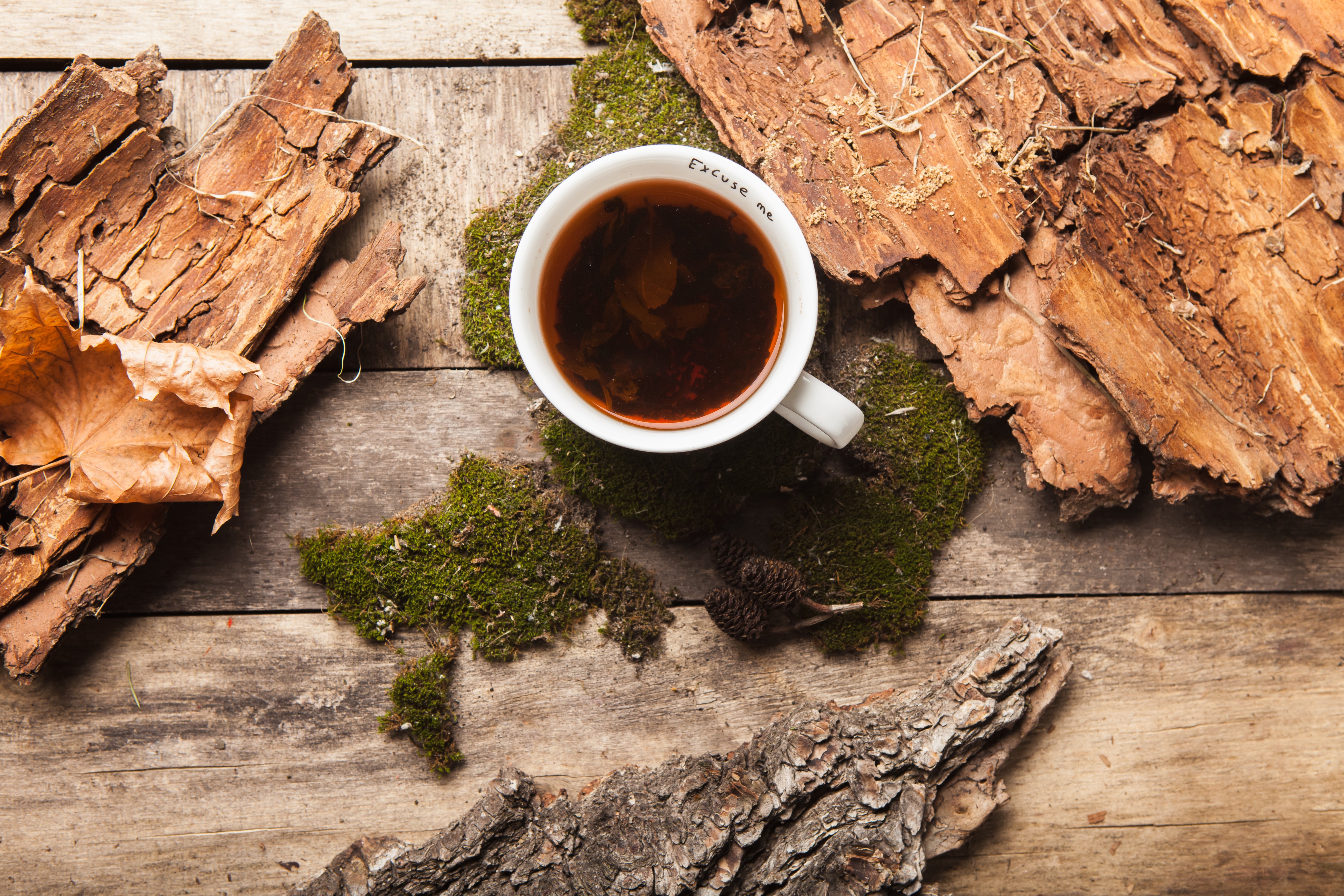 Chaga Mushroom: The Superfood That’s Back in Stock