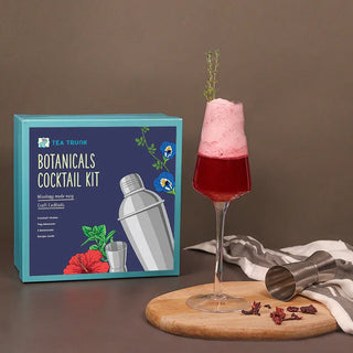 Hibiscus Gin Fizz Recipe