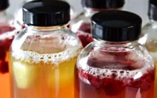 How to brew Kombucha with your favourite tea