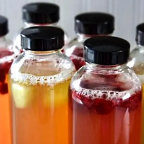 How to brew Kombucha with your favourite tea
