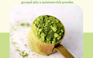 How to Prepare Matcha for a Perfect Cup