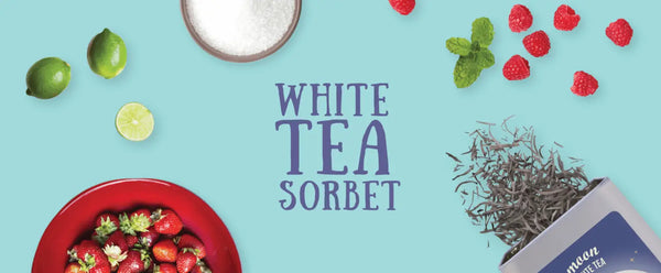 No Cooking Sorbet Recipe
