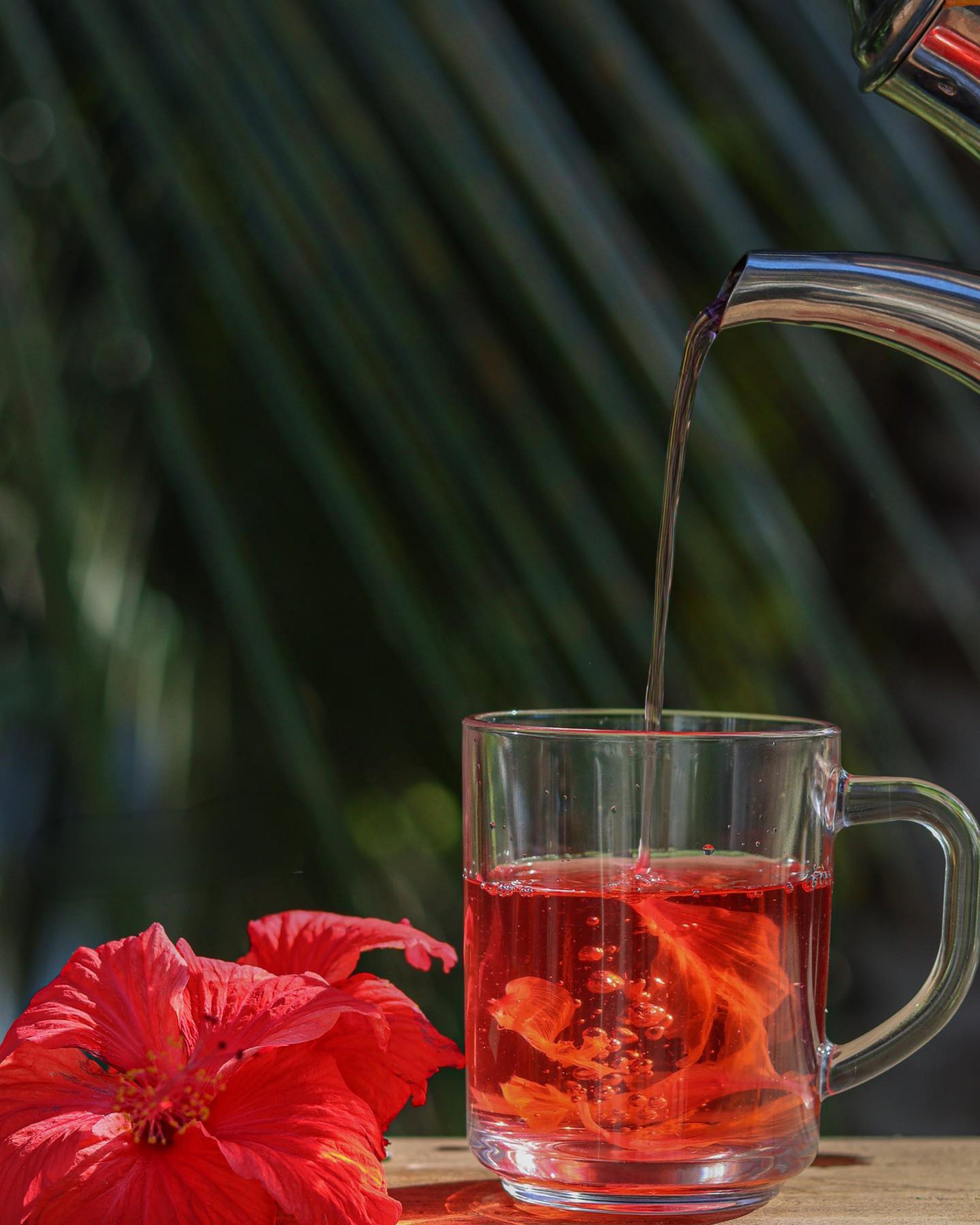 How does Hibiscus Tea help lower Blood pressure naturally?