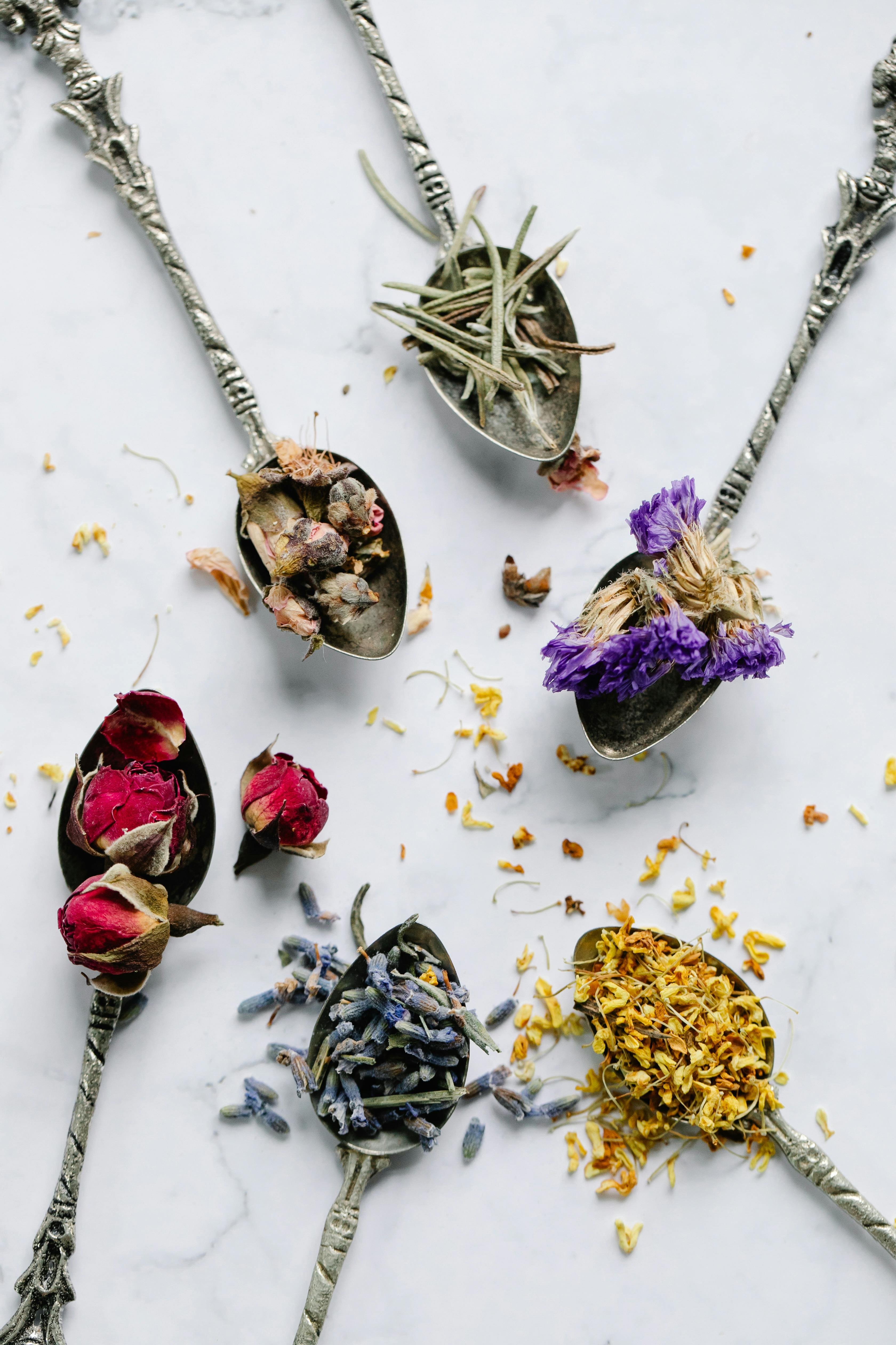 3 Healing Herbal Teas to Add to Your Daily Ritual – Tea Trunk