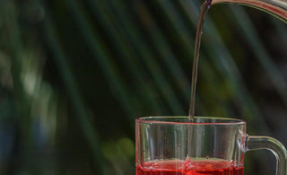 Science Behind Hibiscus Tea Benefits