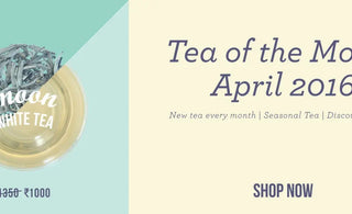 Tea of the month: Moon White Tea