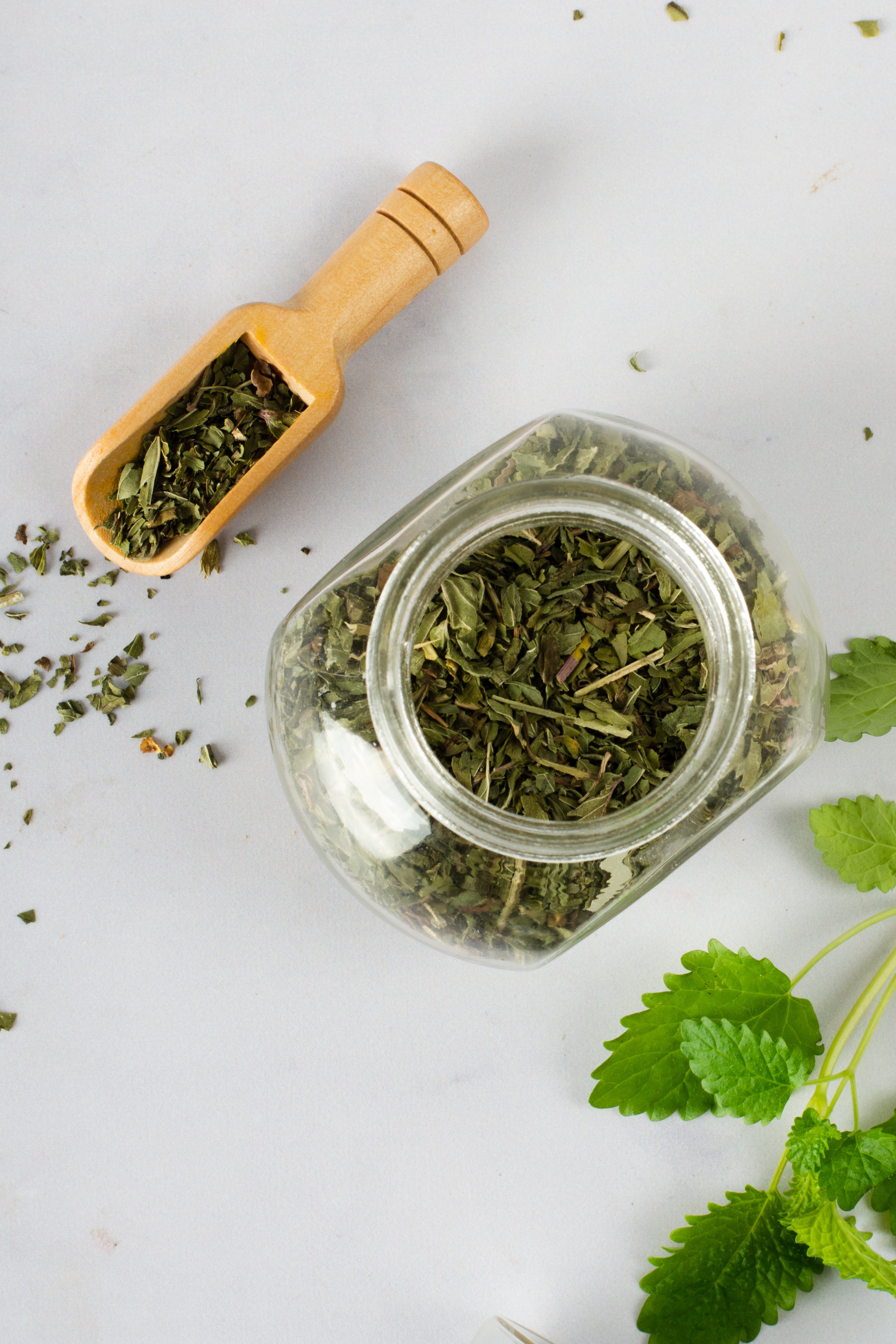 Spearmint Leaves vs. Spearmint Green Tea: What’s the Real Difference?