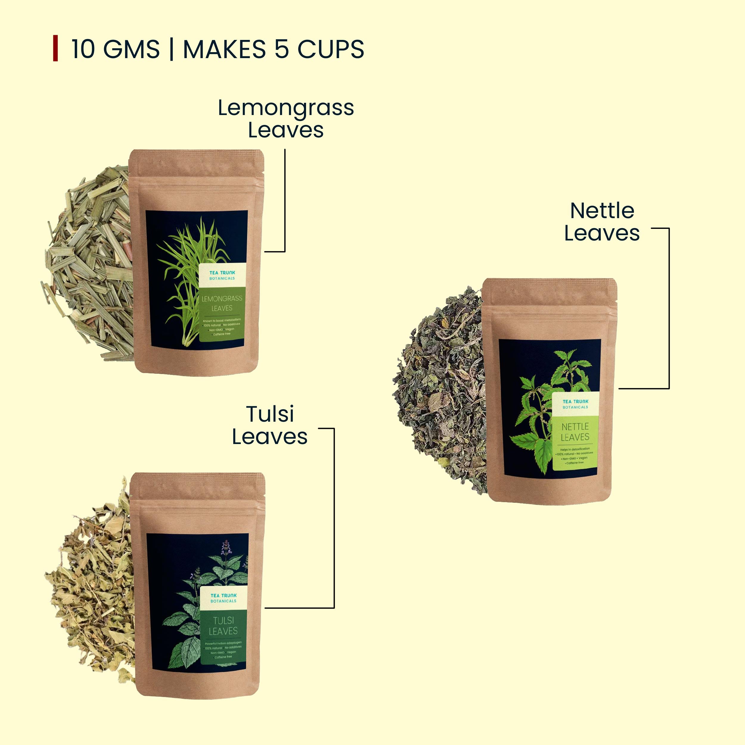 Immunity Boost Teas | Herbal Blends for Stronger Immunity – Tea Trunk
