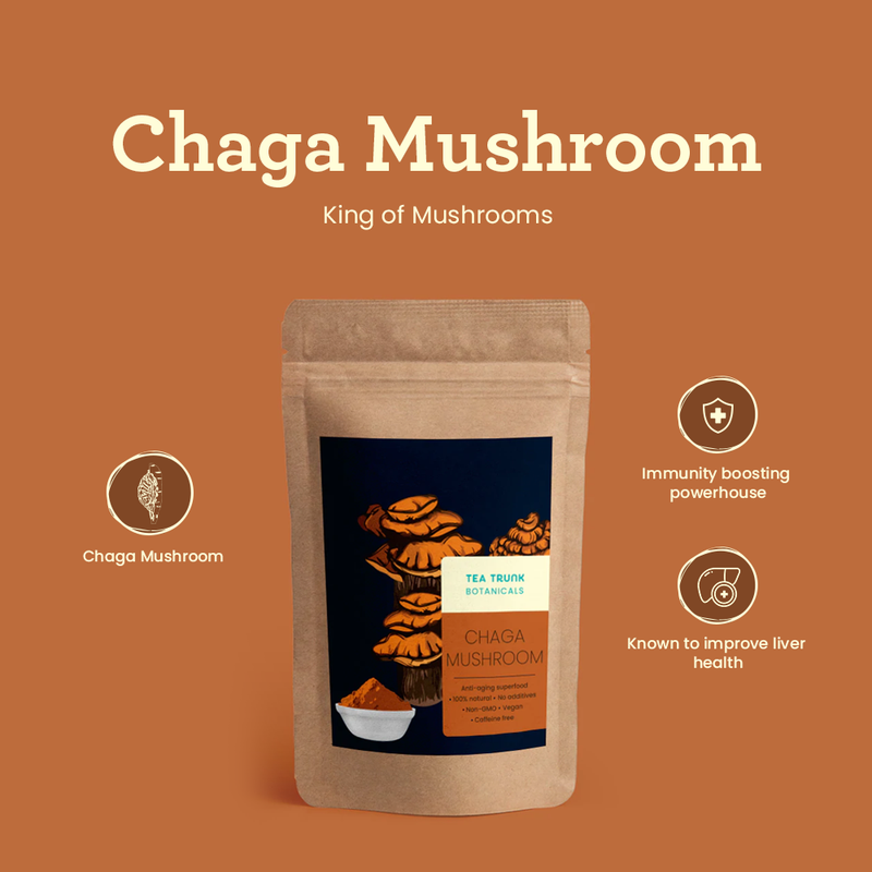 Buy Chaga mushroom to boost your immunity from tea trunk – Tea Trunk