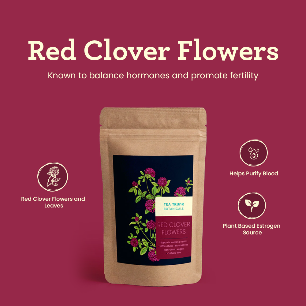 Red Clover Flowers pic1